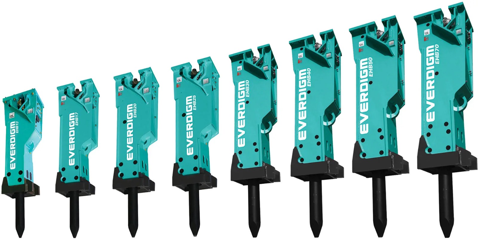 WhatsApp Image 2026-02-11 at 13.42.11